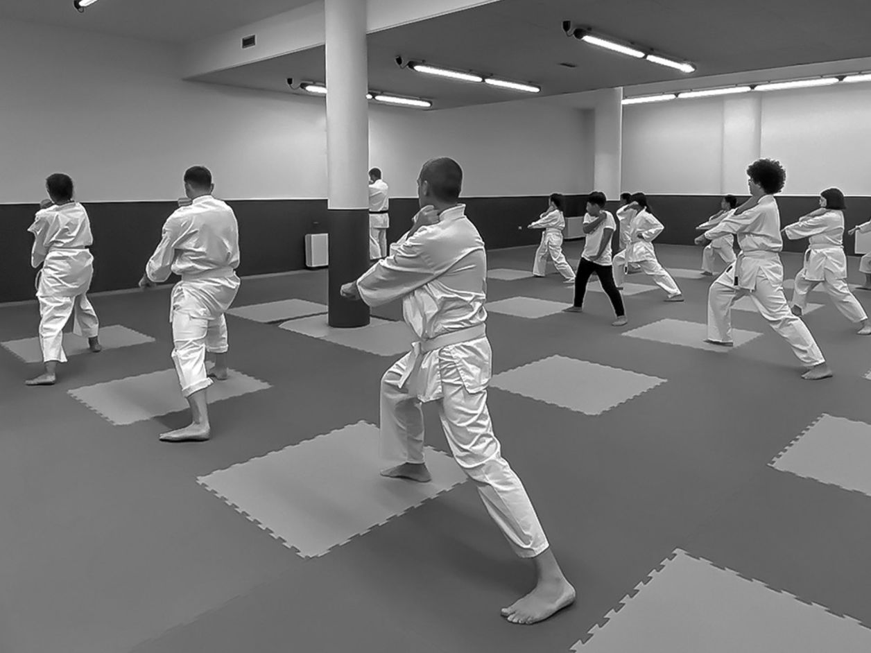 Karate adulti Tokon
