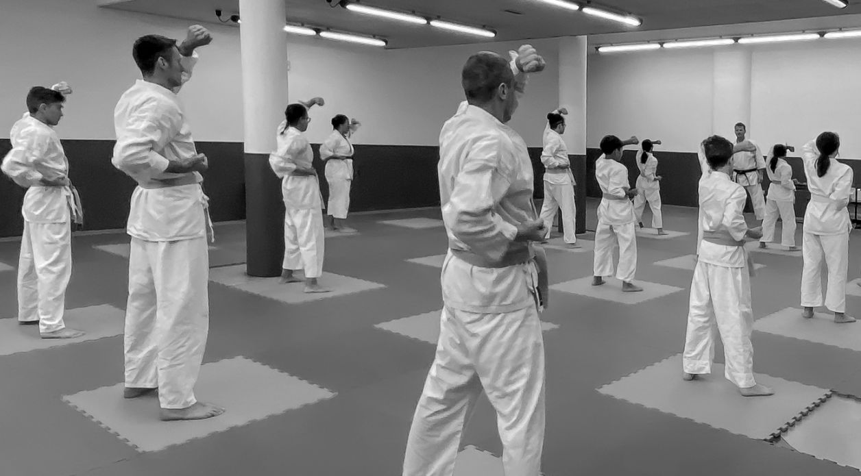 Tokon Karate Milano